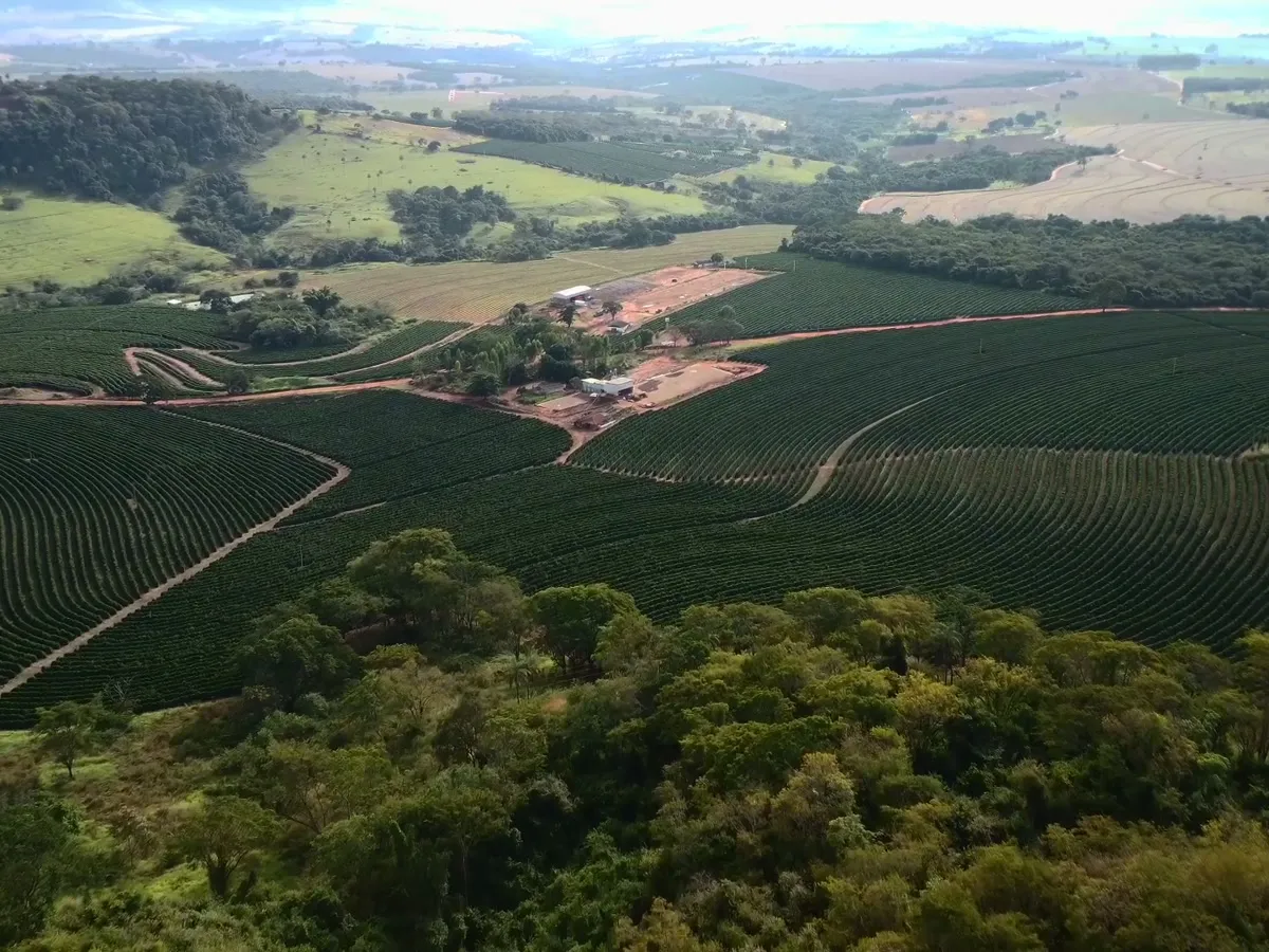 Vista aérea de lavouras de café entre morros